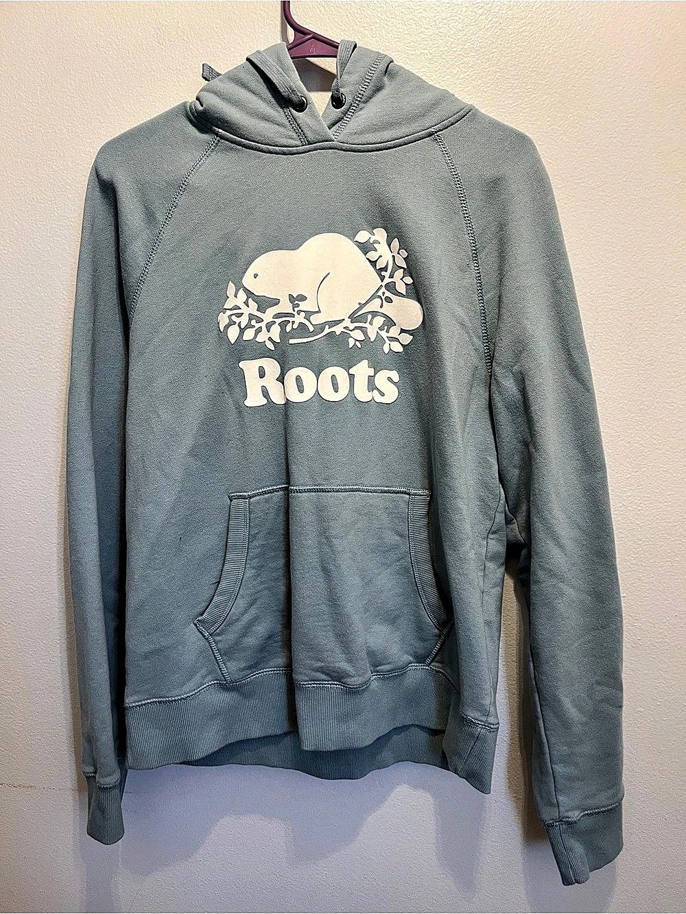 Roots Beaver Logo Pullover Hoodie Graphic Pullover Hoodie in Gray Size Medium